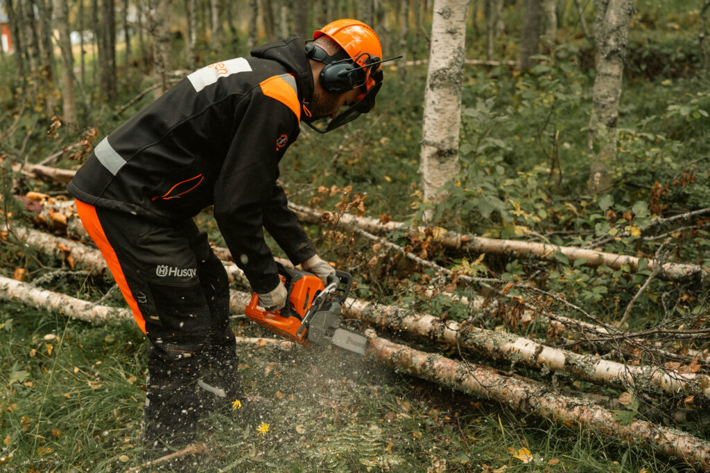 Man i skyddskläder sågar björkved med motorsåg i skogen.
